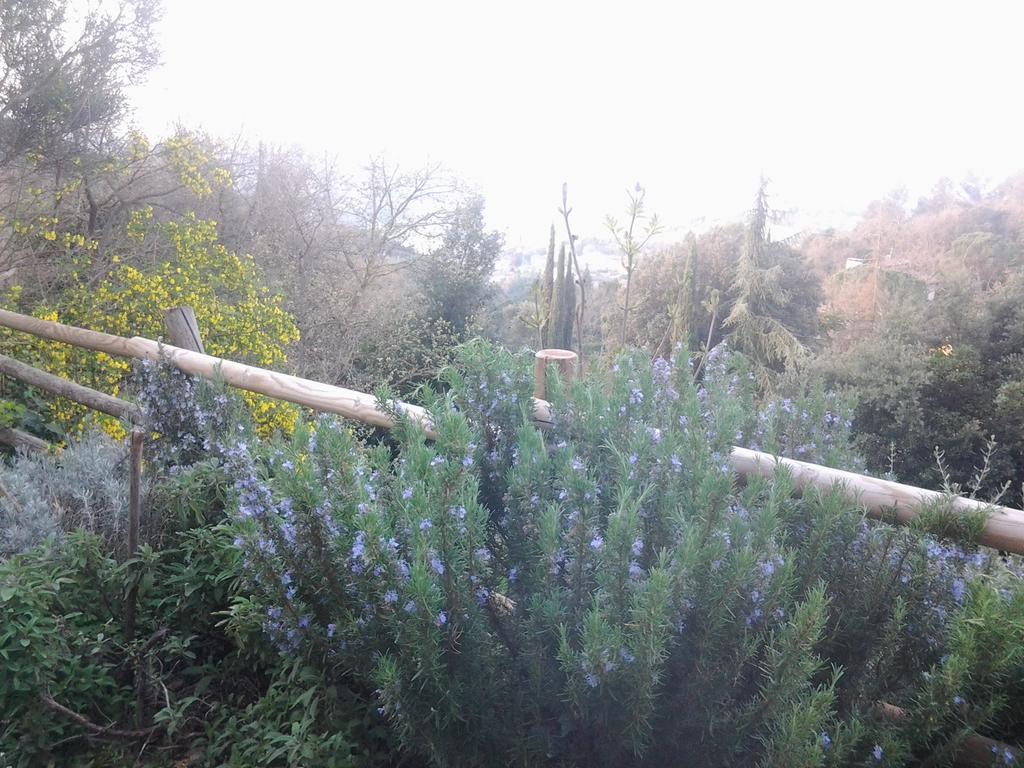 Bed And Breakfast Al Posto Bello Perugia Bagian luar foto